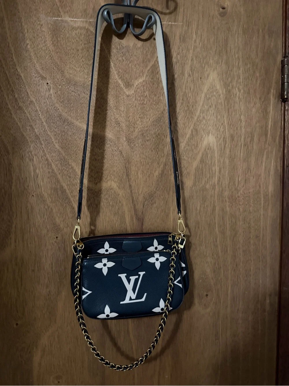 Louis Vuitton stylish louis